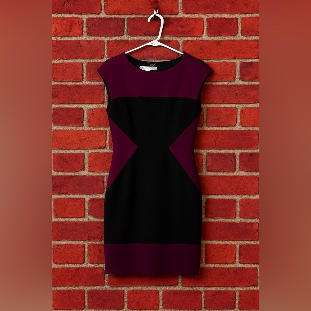 Maggy London Colorblock Sheath Dress – Size 6